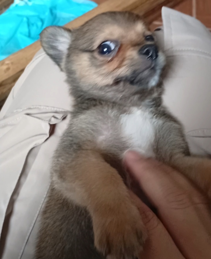 Imagen #1 de Liliana