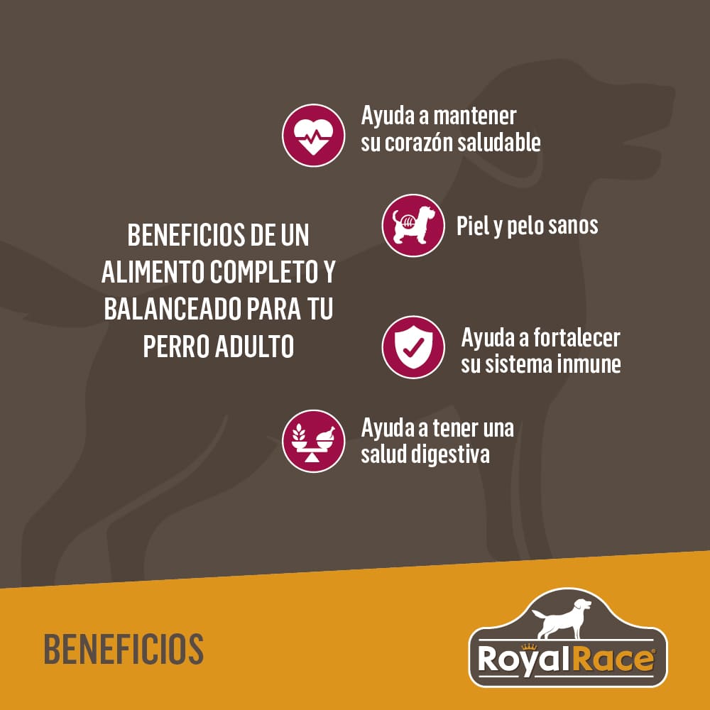 Perro Adulto Razas Pequeñas 4kg Royal Race - Image 6